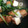 kaoran620's cooksnap of when they made 小松菜と厚揚げの煮びたし.