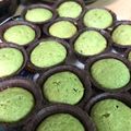 さとっちにゃん's cooksnap of when they made まるで和菓子❤抹茶まふぃん.