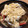 Halü★mama's cooksnap of when they made 簡単♡冬瓜の煮物（中華風玉子あん）.