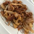 さっぱ先生's cooksnap of when they made 豚バラと根菜（蓮根＆ごぼう）の丼♡.