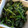 ふわふわナナコ's cooksnap of when they made 変わり種！ほうれん草のマヨ和え☆.