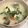 yummy?'s cooksnap of when they made ヘルシー☆きのこの豆乳スープ.