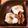 クック3XBL0T☆'s cooksnap of when they made 椎茸のチーズ丸焼き★.