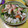 クックRIM's cooksnap of when they made 海老とアスパラの中華風塩炒め♪.