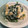 アンドーナツ☆'s cooksnap of when they made 柿と春菊の白和え.