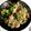 クックN1BNAV☆'s cooksnap of when they made もんごういかとチンゲン菜の中華炒め.