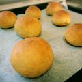 荏田西's cooksnap of when they made 基本の丸パン.