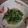 ぴあののりこ's cooksnap of when they made プラス1品に◉春菊の胡麻和え.