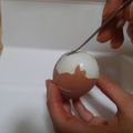 sawararara's cooksnap of when they made 簡単！早い！茹で玉子の殻のむきかた.