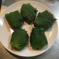 かえるまっちゃ's cooksnap of when they made 簡単☆豆腐ハンバーグ　おろしポン酢　和風.