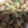 ma___111's cooksnap of when they made ゆず納豆.