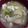 santomo☆'s cooksnap of when they made 鶏肉のと白菜の生姜スープ.