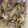 クックZ8J4H4☆'s cooksnap of when they made ヤマキの白だしで☆簡単☆しらたきの煮物.