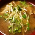 ☆mamingo☆'s cooksnap of when they made お味噌汁にカイワレ.
