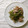 tomome's cooksnap of when they made 芋づると豚こまとひじきの炒り煮.