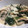 タコドラ's cooksnap of when they made ほうれん草と鮭のクリーム煮.