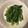 R2016's cooksnap of when they made 小松菜としらすの胡麻油炒め.