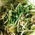 ☆えみらん☆'s cooksnap of when they made 豆苗とモヤシの塩昆布ナムル.