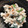 クックR9QJIM☆'s cooksnap of when they made 簡単しらあえ.