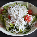 IRUZE's cooksnap of when they made 釜揚げしらすとトマトとレタスのサラダ.