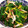 ゆりYO船長's cooksnap of when they made ❁ほうれん草の柚子びたし❁.