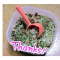 ゆけり３兄弟's cooksnap of when they made こぶ茶で簡単カルシウム＆ミネラルふりかけ.