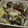 Risoa 51's cooksnap of when they made あさりと白菜の酒蒸し.