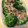 S＊mama♡'s cooksnap of when they made ブロッコリーのおかか胡麻マヨあえ.