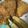 moko22's cooksnap of when they made 簡単！豚バラカツ(ミルフィーユカツ).