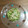 ガンズくん's cooksnap of when they made 胡瓜とえのきの梅味あえ.