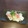 ガンズくん's cooksnap of when they made 【作り置き】長芋とカニカマの酢の物.