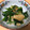 クックNY02NX☆'s cooksnap of when they made ほうれん草と油揚げの和風小鉢.