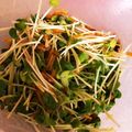 あっこ٭♫'s cooksnap of when they made ☆ご飯のお供に☆なめ茸かいわれ.