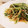 fu♪♪'s cooksnap of when they made 鮭フレーク＆水菜のかんたんサッと炒め.