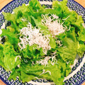 mikko6's cooksnap of when they made 簡単！！レタスとしらすのサラダ.