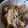 クックH86AFM☆'s cooksnap of when they made 漬けて焼くだけ！簡単焼豚【全行程写真付】.