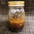 ココ❇︎ママ's cooksnap of when they made 絶品！自画自賛の玉ねぎ和風ドレッシング！.