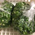 めりーがっつさぶ's cooksnap of when they made 大根の葉の保存法.