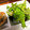 ちゃんこまんさん's cooksnap of when they made 朝食の定番☆レタス海苔のりサラダ.