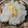 食いしん坊山ガール's cooksnap of when they made きのこと鶏のみぞれ鍋.
