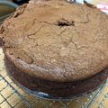 まぁこ＊'s cooksnap of when they made 濃厚ガトーショコラ　１５ｃｍ型　.