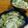 クックRGHNT9☆'s cooksnap of when they made かぶのエビ塩あんかけ.