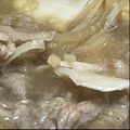 ささッこ's cooksnap of when they made 白菜deお鍋！鍋つゆはコンソメ×白だし♪.