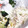 みっくママ's cooksnap of when they made 新玉ねぎのマヨポン和え.