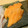 あず7225's cooksnap of when they made 旨み凝縮サーモンの昆布締め.