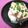 朝まと's cooksnap of when they made とろとろ湯葉丼.