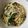 あるぱかりんこ's cooksnap of when they made カルシウムたっぷり！梅じゃこパスタ.
