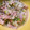 OPENちゃん's cooksnap of when they made 簡単3分☆長ネギとツナのナムル.