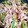 sea04's cooksnap of when they made 豚肉とニンニクの芽の炒め.