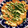 もりぴっぴ's cooksnap of when they made 旨味ぎっしり！豚皮のネギ焼き.
